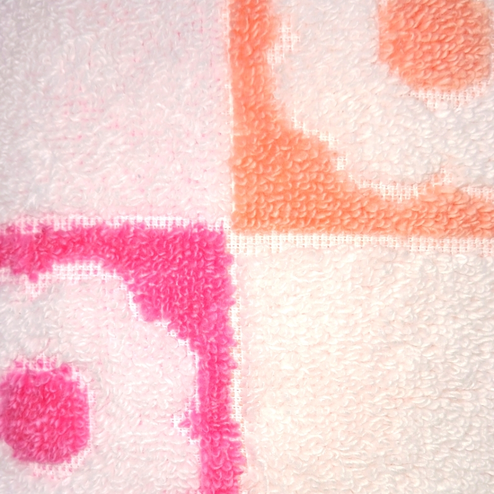 Caro Home NWT 2pc Daisy Check Cotton Hand Towels In Pink/White - Picture 4 of 5